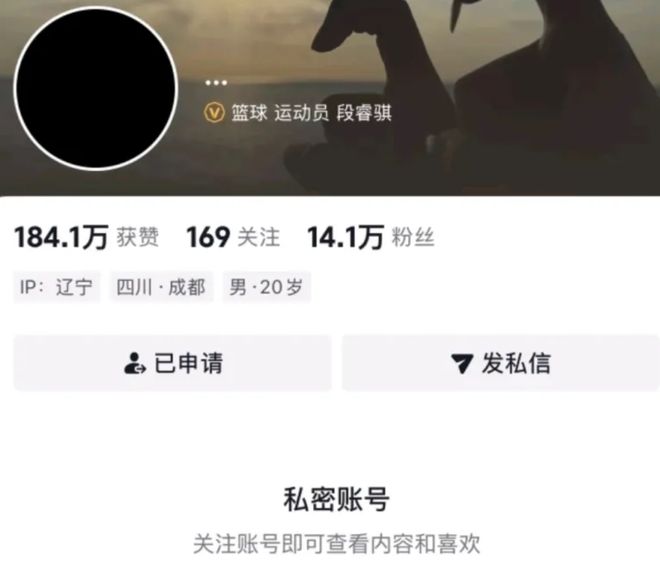 PA旗舰厅(中国区)官方网站-PlayAce案例展示